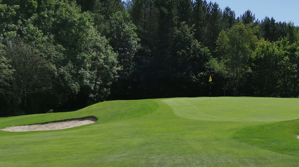 A green at Beamish Park Golf Club, with a bunker guarding the left side and the flag marking the hole.