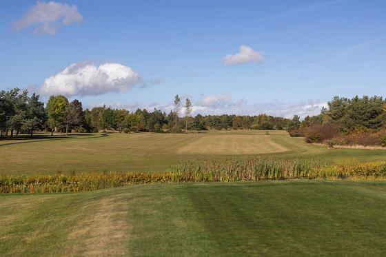 Autumn light across a fairway at Longhirst